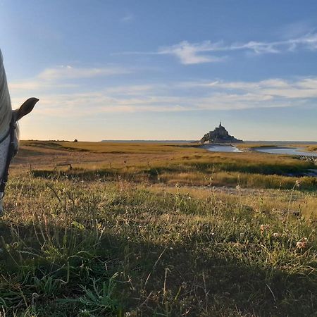 Gite Le Chausey Mont Saint Michel 蓬托尔松 外观 照片